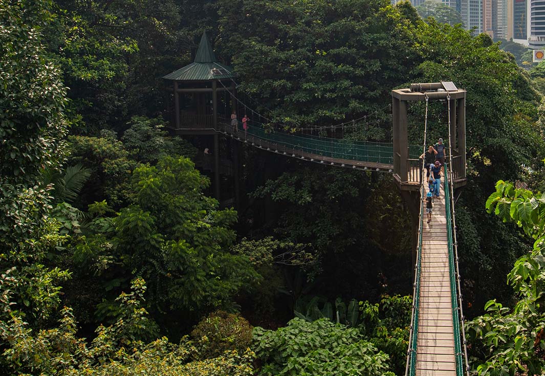 Exploring Kuala Lumpur’s Natural Beauty: Outdoor Adventures and Nature Reserves